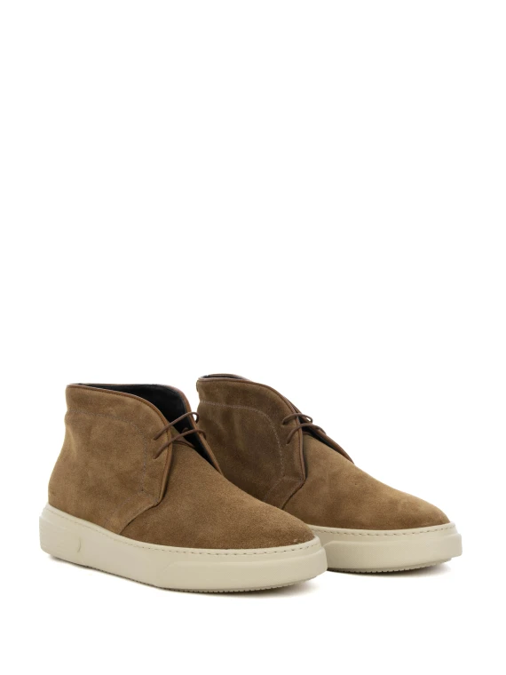 Polacco marrone in suede