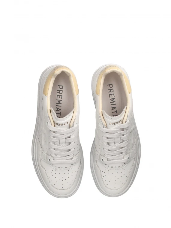 Quinn D 6689 leather sneaker