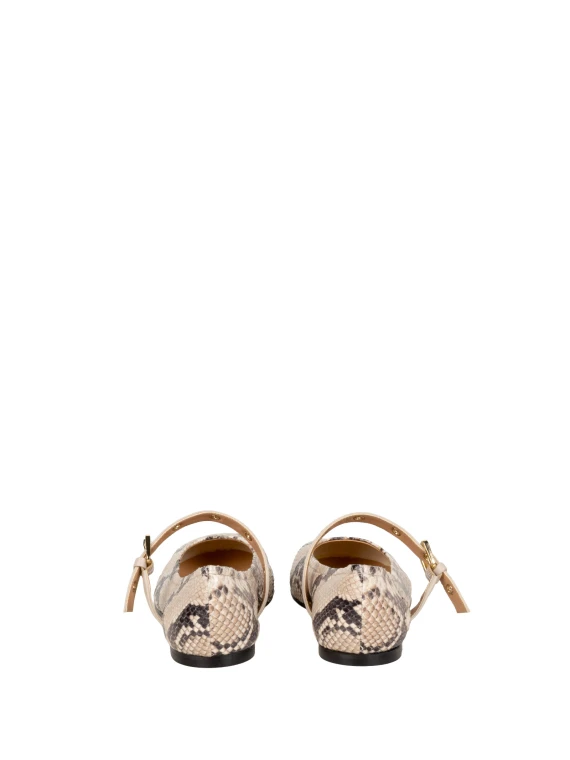 Scarpe basse Rettile