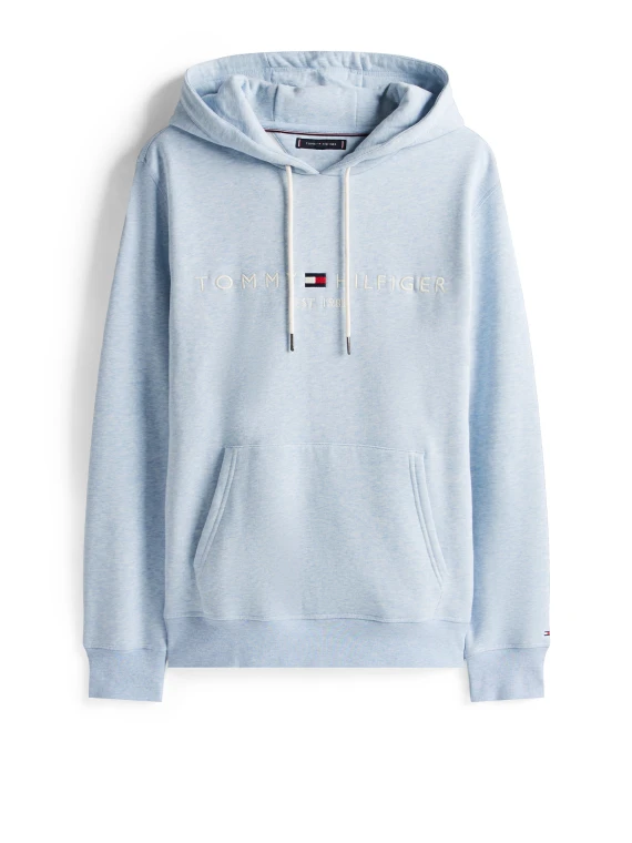 Hooded sweatshirt in light blue