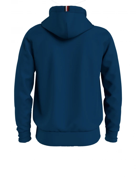 Sweatshirt with hood and logo