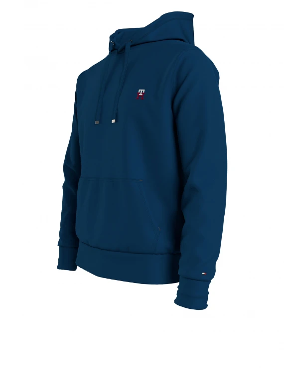 Sweatshirt with hood and logo