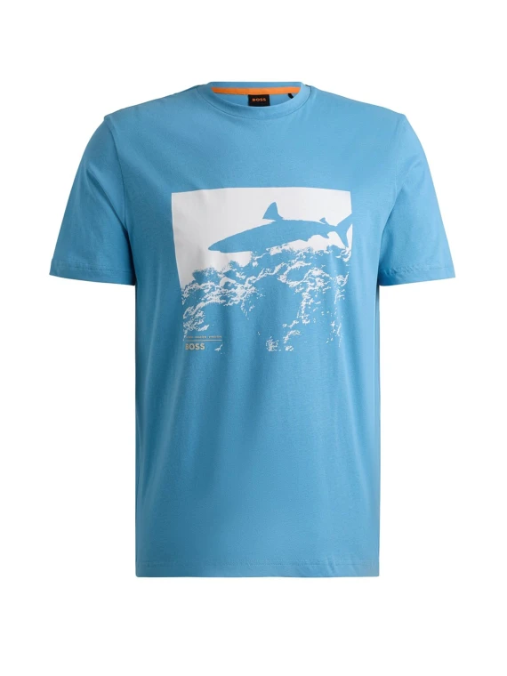 Blue T-shirt with print